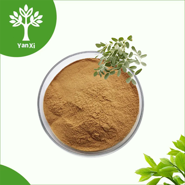 Thyme Extract Powder Thyme Extract Powder